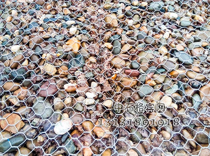 高爾凡格賓網13131891918 高爾凡格賓網13131891918