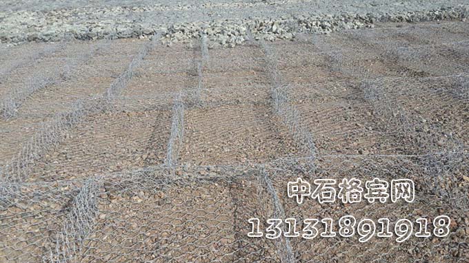 雙隔板雷諾護墊 雙隔板雷諾護墊