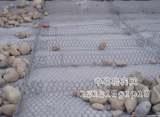 鍍高爾凡雷諾護墊 鍍高爾凡雷諾護墊