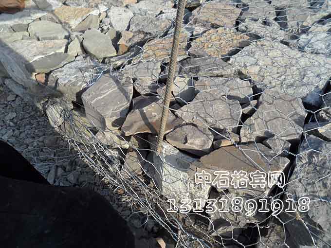 鍍高爾凡雷諾護墊