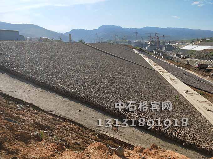 鍍高爾凡雷諾護墊