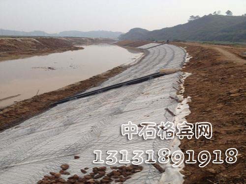 雙隔板雷諾護墊 雙隔板雷諾護墊