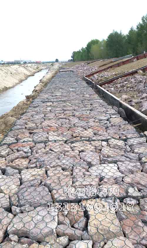 雙隔板雷諾護墊